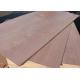 Eucalyptus Commercial Grade Plywood With Okoume Faced Standard Size
