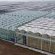 Versatile and Customizable Drip Irrigation Glass Greenhouse for Flower Growing