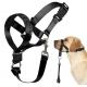 Dog over the nose dog lead Head Collar Halter with Safety Strap