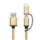 Aluminium Alloy 2 In 1 USB Type C Charging Cable With USB 3.1 Type C Converter