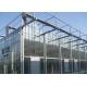 Sided Ventilated Cooling Pad Multi Span Greenhouse
