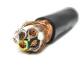 2 4 6 8 10 Core 0.3/0.5/0.75/1.5/2.5/4/6/10mm Copper Braid Shielded Cable for Anti-EMI