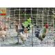High Strength Plastic Poultry Netting,  Chicken Fence, 1.5M High,  Gray Color, 20MM Hole Size