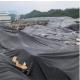 EPDM Geomembrane Liner HDPE for Good Permeability and Length 50m-100m/roll as Request