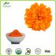 Top Quality Marigold Extract Powder / Water-soluble Lutein