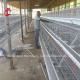 Layer Farming Use 2 Tier Battery Cage Poultry House Hot Dip Galvanized Sandy