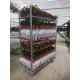 53.1x22.2x74.8inch Danish Flower Trolley ISO Garden Plant Cart