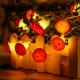 Mushroom String Lights Battery Powered LED and USB Silver Wire for Girls Bedroom Nursery Party Patio Fence Plants Decor