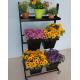 Movable Flower Display Rack / Floral Display Stands In Home Garden