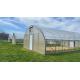 Single Span PE Film Tunnel Greenhouse With Galvanized Steel Frame