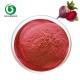 Hot Air Drying Red Beetroot Powder Organic Food Supplement
