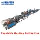 Good Quality Vegetable Salad Washing Dewatering Machine Automatic Washing Machines With High Quality