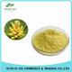 Pure Natural Meadow Pine Extract Powder 4:1 - 20:1