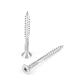 Stainless Steel Torx Double Thread Gypsum Plasterboard Screw with Pozidriv Drive Type