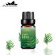 100% Pure Body Essential Oils Perfume 20ml Organic Cypress Essential Oil ODM