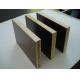 Factory hot sale for construction plywood laminated marine plywood film faced shuttering plywood with good quality