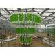 150 / 200mic Covering Plastic Film Greenhouse For Greenhouse Seedling Growing