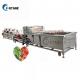 Tomato Washer Sugarcane Green Pepper Fruit Root Vegetable Washer Brush Machine