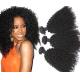 18 Inches 8A Brazilian Curly Human Hair Extensions / Smooth Real Virgin Hair weaving