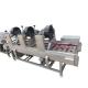 Industrial Commercial Fruit Vegetable Processing Machine For Slicing Fruit