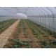 Small Size Single Span Greenhouse , Easy Operate Polyethylene Foil Greenhouse