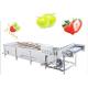 Fruit And Vegetable Washing Machine With Water Circulating System