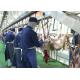 Goat Mutton Split Meat Production Line Slaughter Conveying Whole Processing Type