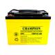 China Champion Battery  12V55AH NP55-12-G Sealed Lead Acid GEL Battery, Solar Battery, Deep Cycle Battery