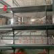 2.2m Layer Battery Cage System For Capacity 120-200 Chickens Adela