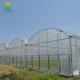 150 to 200 micro Plastic Film Greenhouse Multispan 4 Seasons Green House