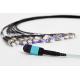 10G Fiber Optic Patch Cord MPO/MTP - FC OM3 MM 50/125um Breakout Cable 12 Core