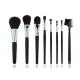 Eco Friendly Travel Private Label Makeup Brushes with Lip Brush and Concealer Brush