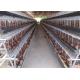 Galvanized Automatic Farming Q235 Chicken Breeding Cages
