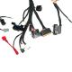 Hot Selling Motor Tricycle Engine Wiring Harness Wiring Harness For Motorcycle
