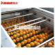 Automatic Photoelectric Fruit Sorting System Equipment For Grading Of Fruits And Vegetables