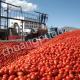 Tomato Sauce Production Line for Tomato Ketchup Tomato Sauce 415V Voltage