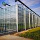 Agriculture Multi Span Commercial Glass Greenhouse Hydroponic Greenhouse