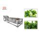 300-5000KG/H Leafy Vegetable Washing Machine Green Leaves Washing Machine