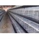 Battery Galvanized Automatic Hen Layer COC Poultry Chicken Cages
