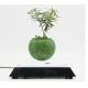 square base rotating magnetic floating levitation air bonsai flowerpot pot planters