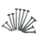 C1022A Galvanized Self- Tapping Screw Bugle Head Drywall Screws For Metal