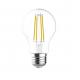 A60 Filament Bulb CCT
