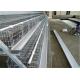 Electo Galvanized Chicken Layer Cage / Poultry Layer Cage Used For Chicken Farm
