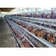 Capacity 96 Layer Chicken Cage Type A Automatic System Battery Breeding 4 Tiers