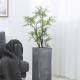 180cm Green Artificial Plant Oxygen Fern Tree For Indoor Decoration