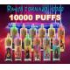 10000 Puffs Nic Salt Disposable Vape Rechargeable 12 Flavors Cigarette Device