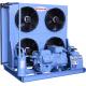 Blue Semi Hermetic Condensing Unit High Efficiency Loudness And Stability