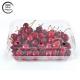 Clear Vegetable Clamshell Fruit Containers Disposable Plastic For Cherries 1kg Capacity
