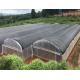 Aluminum Alloy Tomato Farming Tunnel Greenhouse 8*30m Anodizing