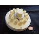 Customized Advanced Technical Ceramics Pump Flange Plate Oxide Acid Resistant